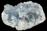 Sky Blue Celestine (Celestite) Crystal Cluster - Madagascar #106685-1